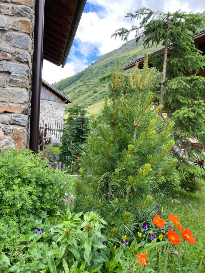 Dreihaeuser Obergurgl Kültér fotó